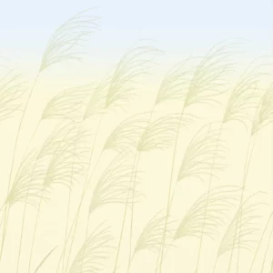blue botanical wallpaper from harlequin