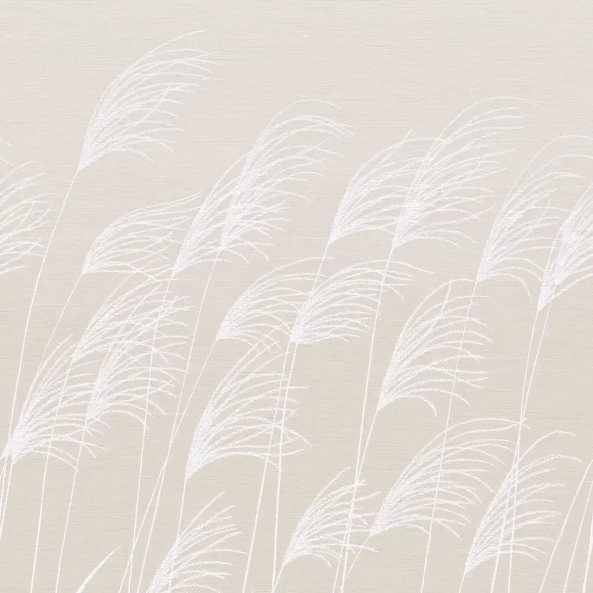 Miscanthus Wallpaper - Parchment / Frost by neutral botanical wallpaper from harlequin