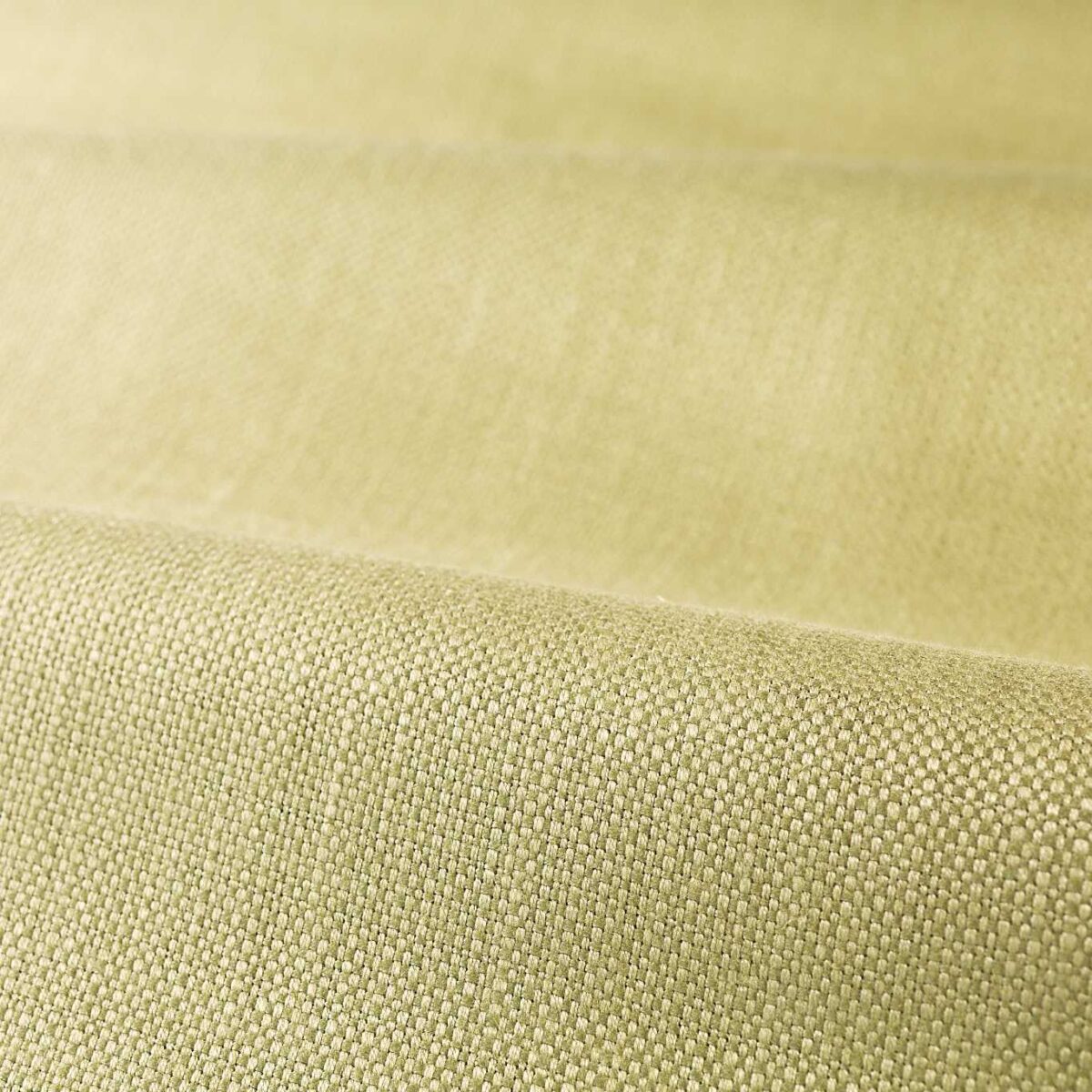 green plain woven fabric from Zoffany
