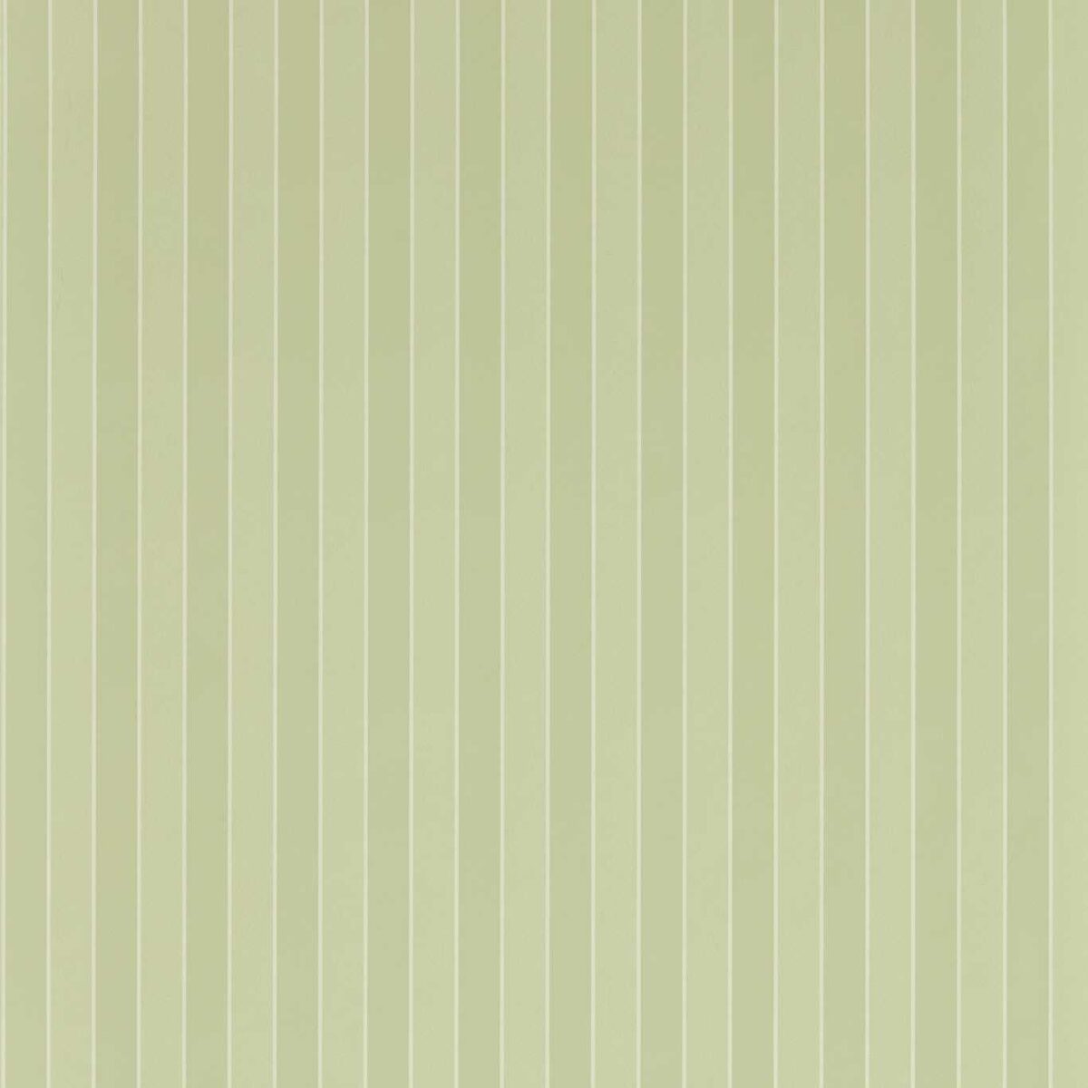 Semper Stripe Wallpaper - Pale Evergreen by green striped wallpaper from zoffany