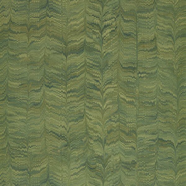 green contemporary wallpaper from zoffany