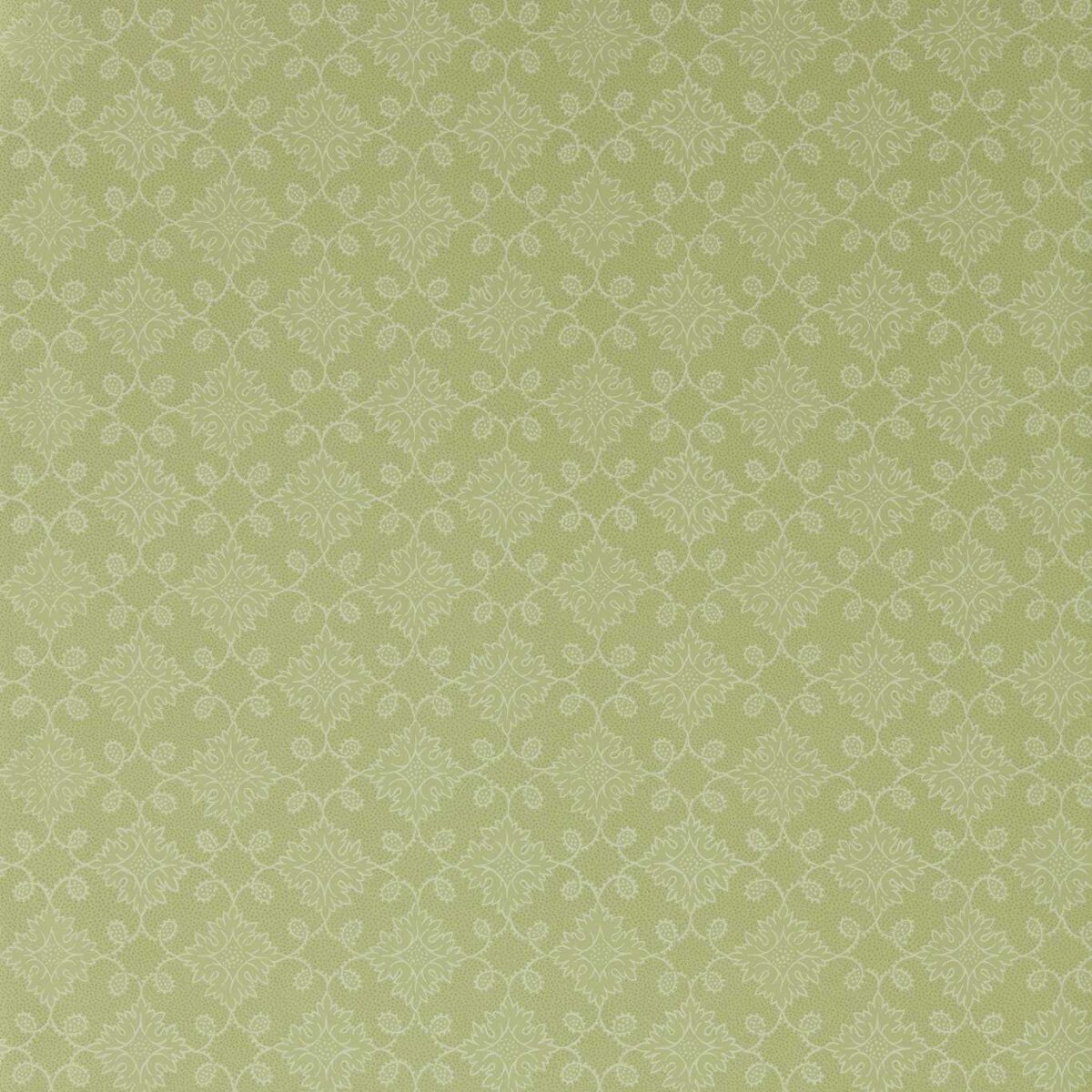 Floral Tracery Wallpaper - Fennel by green botanical wallpaper from zoffany