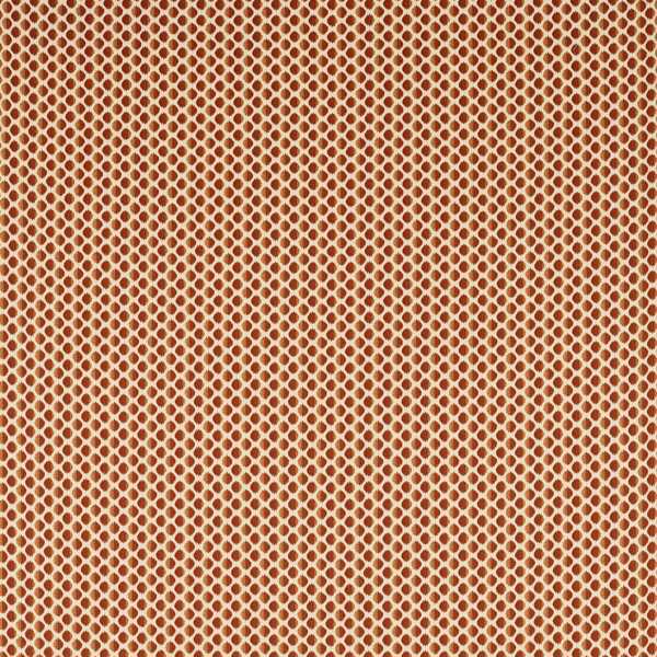 Seymour Spot Fabric - Amber by orange spotted cotton fabric from Zoffany