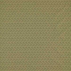green botanical cotton fabric from Zoffany