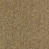 brown plain wallpaper from zoffany