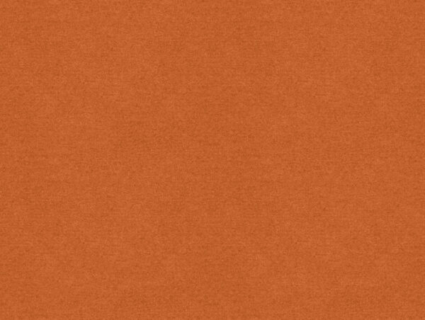 Erasmus Fabric - Apricot Fool by orange plain velvet-chenille fabric from Art of the Loom