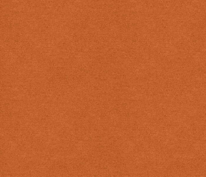 Erasmus Fabric - Apricot Fool swatch