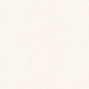 white plain velvet-chenille fabric from Art of the Loom