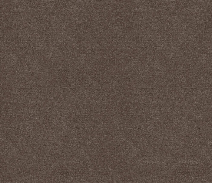 Erasmus Fabric - Baby Mole swatch