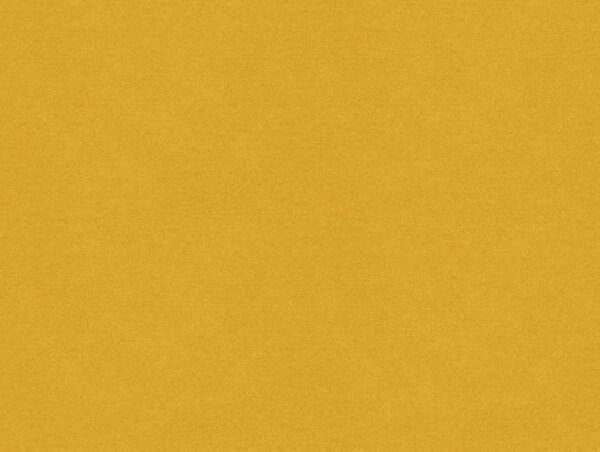 Erasmus Fabric - Canary by yellow plain velvet-chenille fabric from Art of the Loom