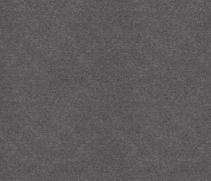 Erasmus Fabric - Flint swatch