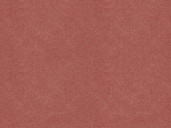 Erasmus Fabric - Kittens Tongue by pink plain velvet-chenille fabric from Art of the Loom