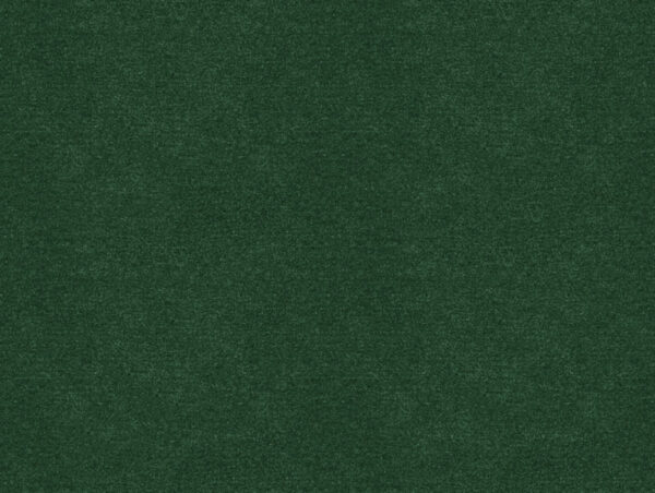 Erasmus Fabric - Lincoln Green by green plain velvet-chenille fabric from Art of the Loom