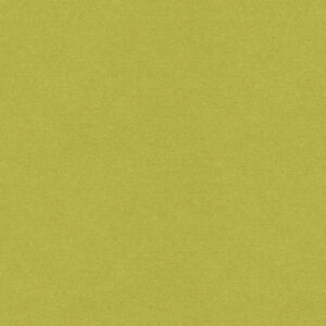 green plain velvet-chenille fabric from Art of the Loom