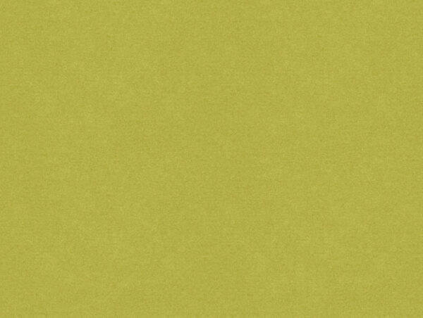 green plain velvet-chenille fabric from Art of the Loom