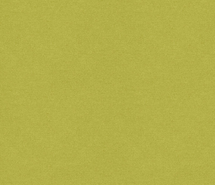 Erasmus Fabric - Mojito swatch