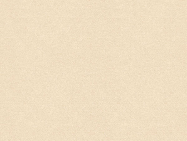 Erasmus Fabric - Perfect Pearl by white plain velvet-chenille fabric from Art of the Loom