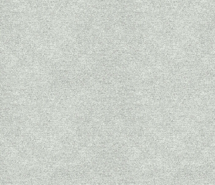 Erasmus Fabric - Platinum swatch