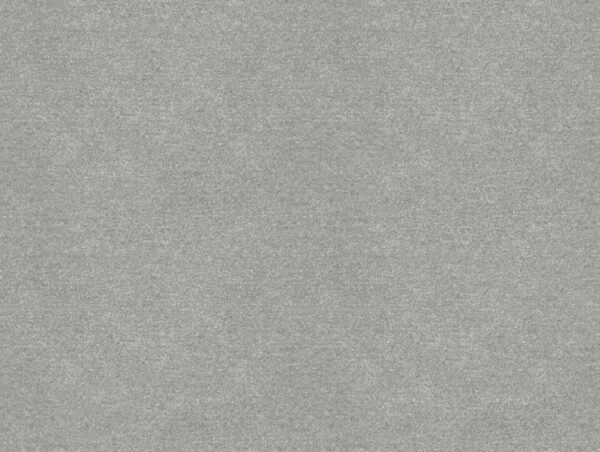 Erasmus Fabric - Silkworm by black-grey plain velvet-chenille fabric from Art of the Loom