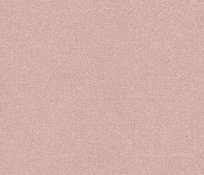 Erasmus Fabric - Whisper swatch