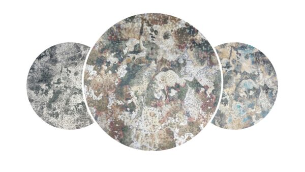 Pegaro Fabric - 2 by Pegaro Fabric - 2 from