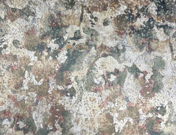 Pegaro Fabric - 3 by Pegaro Fabric - 3 from