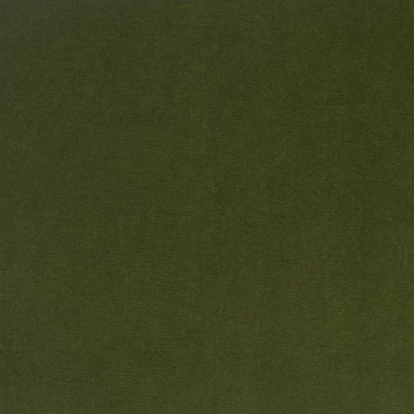 Yvette Fabric - Forest by green plain velvet-chenille fabric from William Yeoward