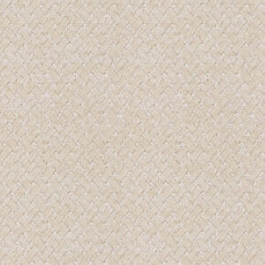 neutral spotted velvet-chenille fabric from Art of the Loom