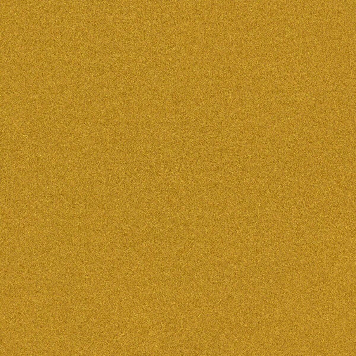 Romney Fabric - Pollen by yellow plain woolen fabric from Linwood Fabrics