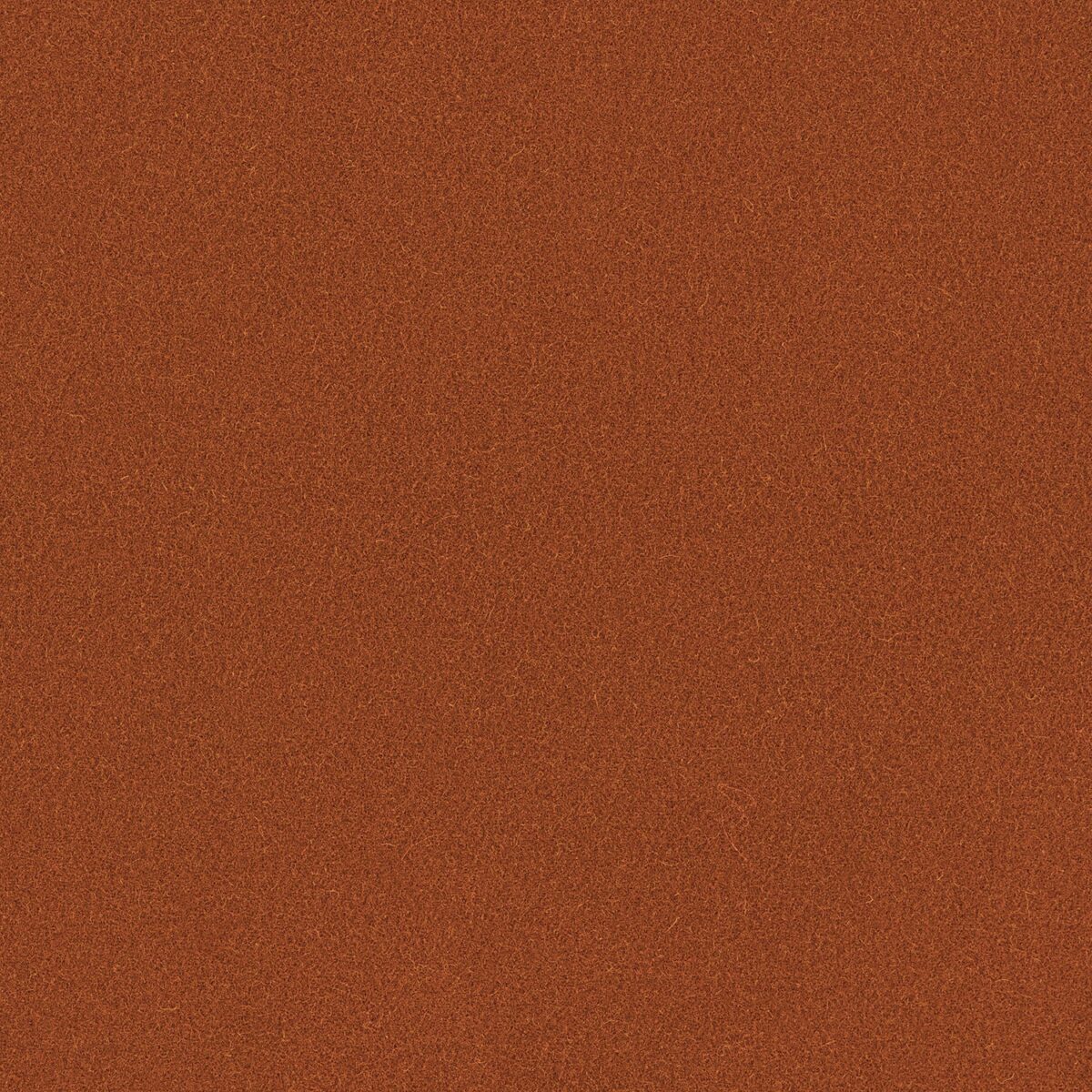 Romney Fabric - Ember by orange plain woolen fabric from Linwood Fabrics