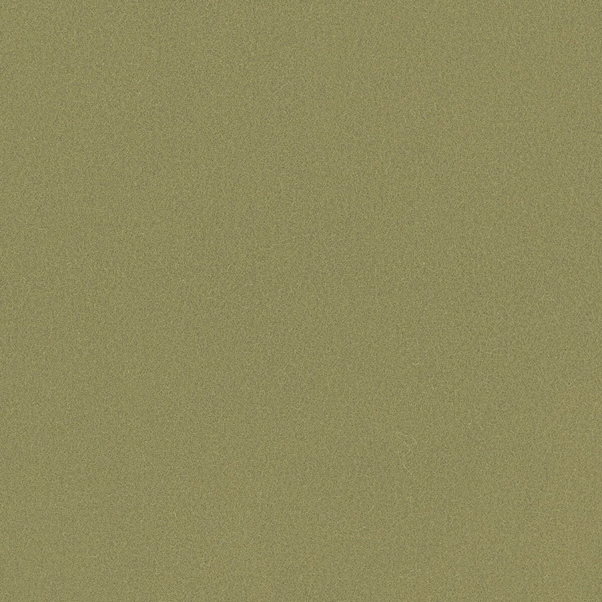 Romney Fabric - Matcha by green plain woolen fabric from Linwood Fabrics