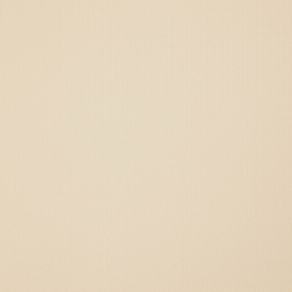 Piedmont Fabric - Champagne by white plain woven fabric from Wemyss
