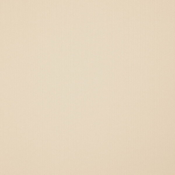 Piedmont Fabric - Champagne by white plain woven fabric from Wemyss