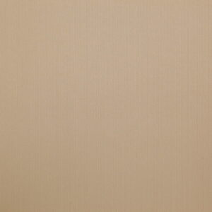 neutral plain woven fabric from Wemyss