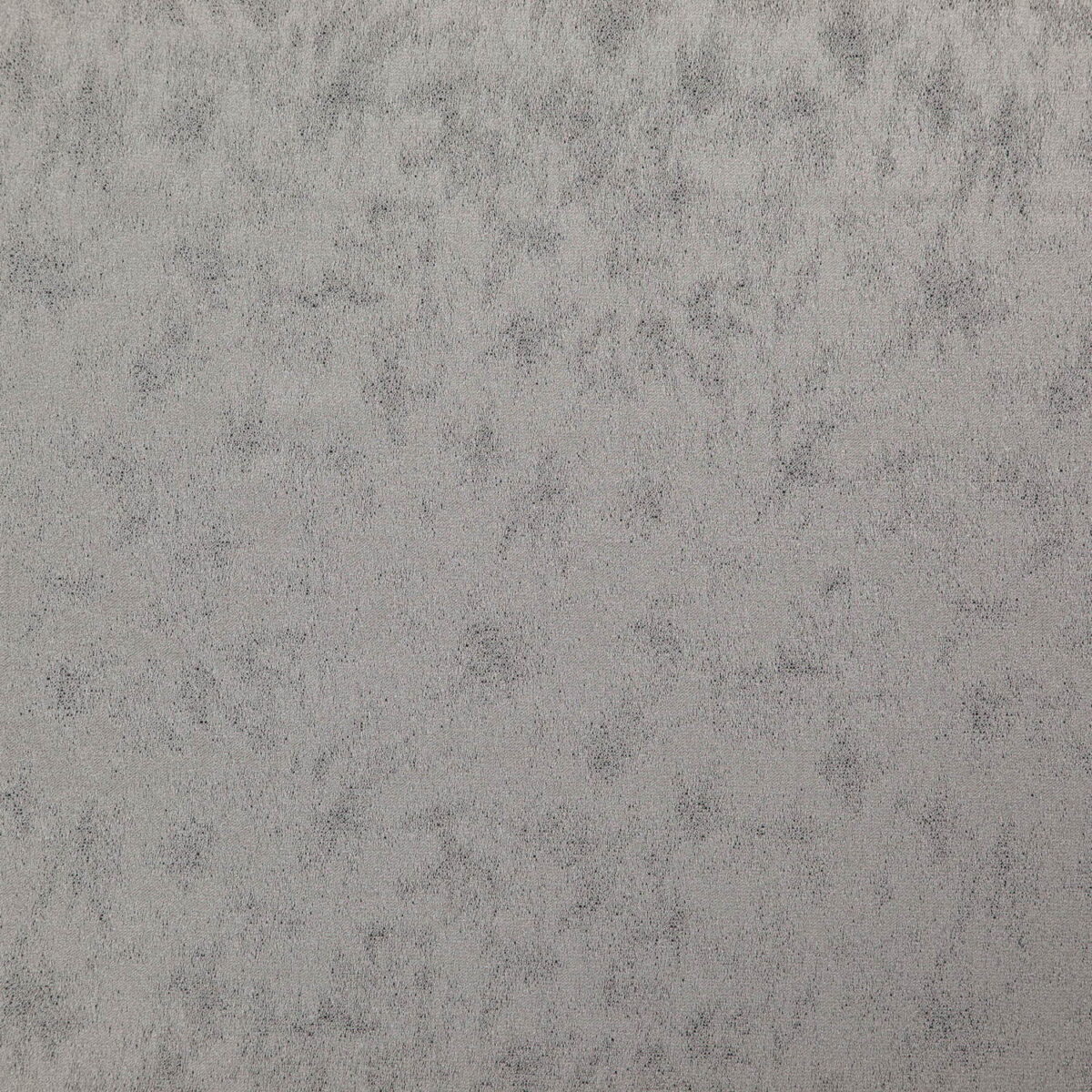 Stelvio Fabric - Platinum by black-grey plain woven fabric from Wemyss