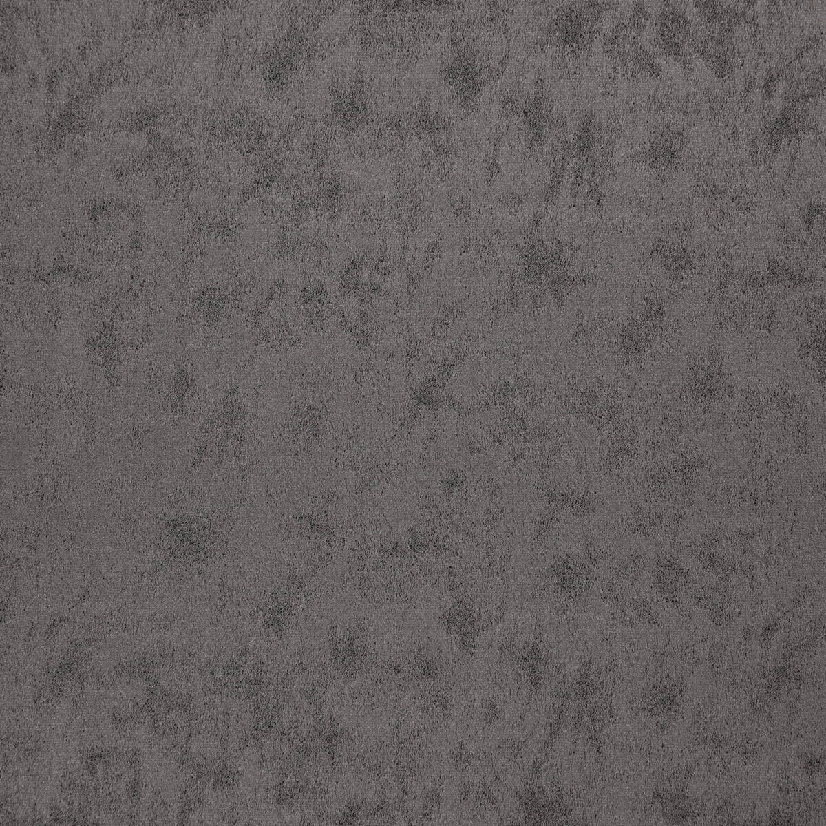 Stelvio Fabric - Graphite by black-grey plain woven fabric from Wemyss