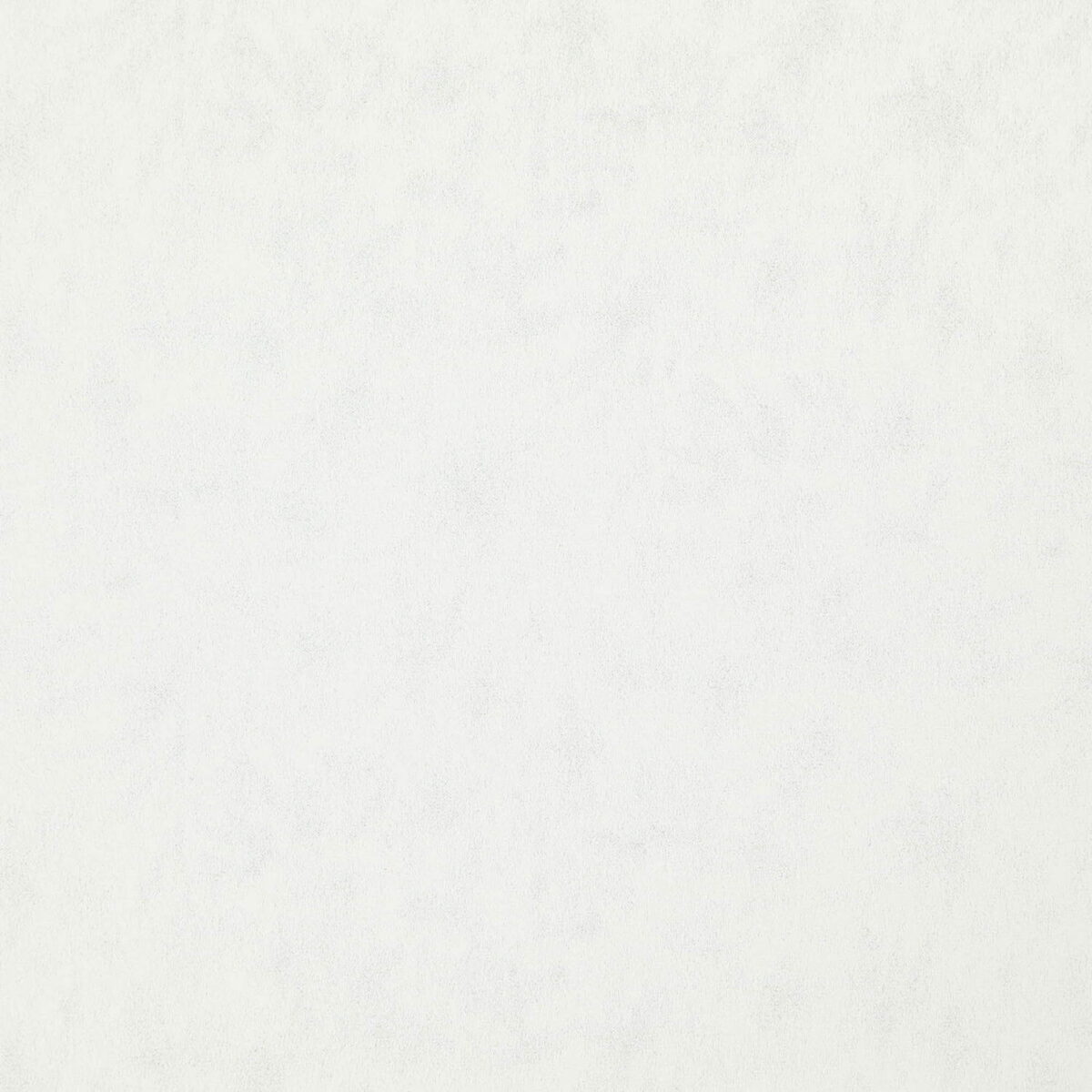 Stelvio Fabric - Pearl by white plain woven fabric from Wemyss