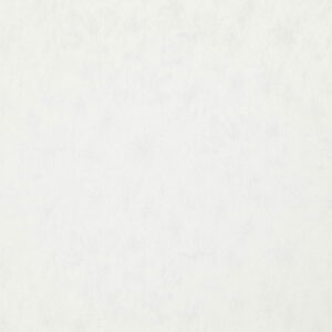 white plain woven fabric from Wemyss