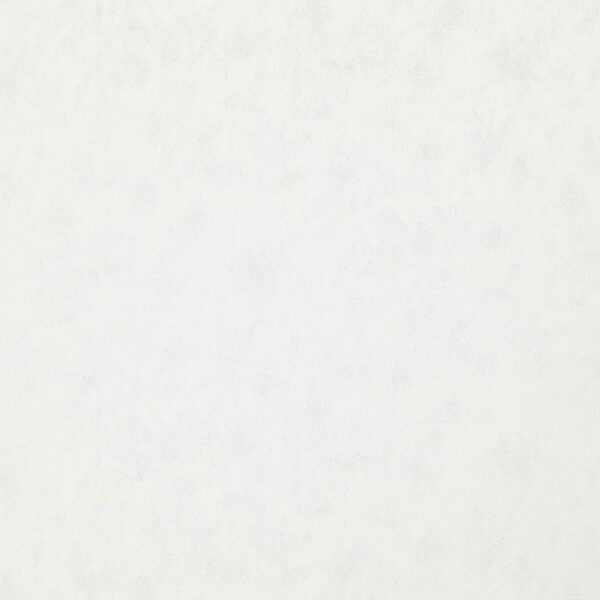 Stelvio Fabric - Pearl by white plain woven fabric from Wemyss