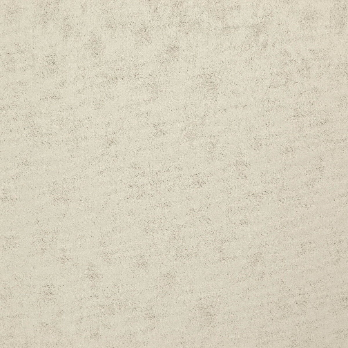 Stelvio Fabric - Almond by white plain woven fabric from Wemyss