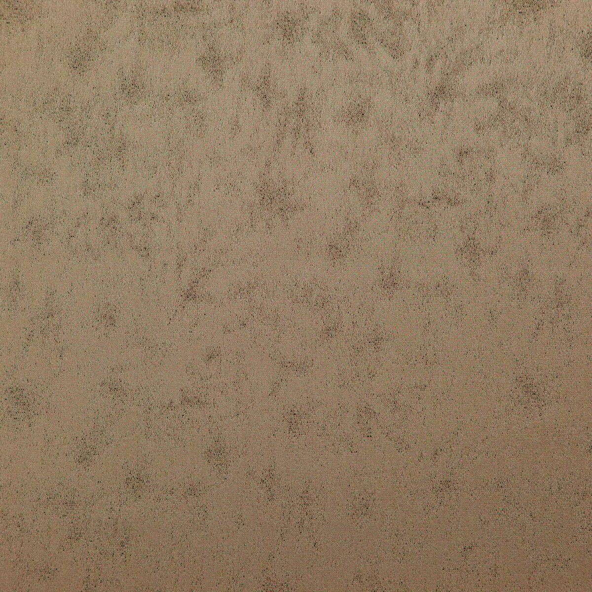 Stelvio Fabric - Truffle by brown plain woven fabric from Wemyss