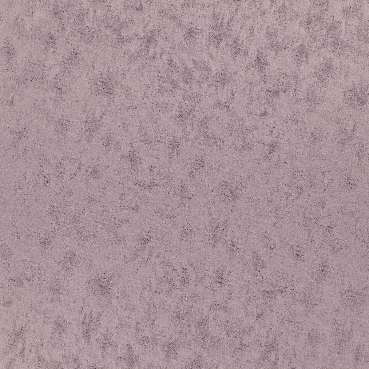 Stelvio Fabric - Orchid Haze by purple plain woven fabric from Wemyss