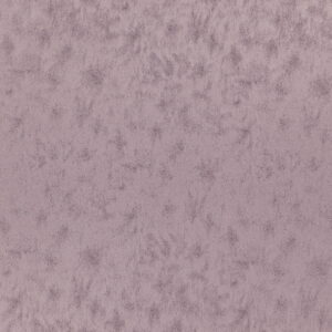 purple plain woven fabric from Wemyss