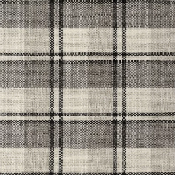 Tartana Fabric - Carbone by black-grey checked woven fabric from Camengo