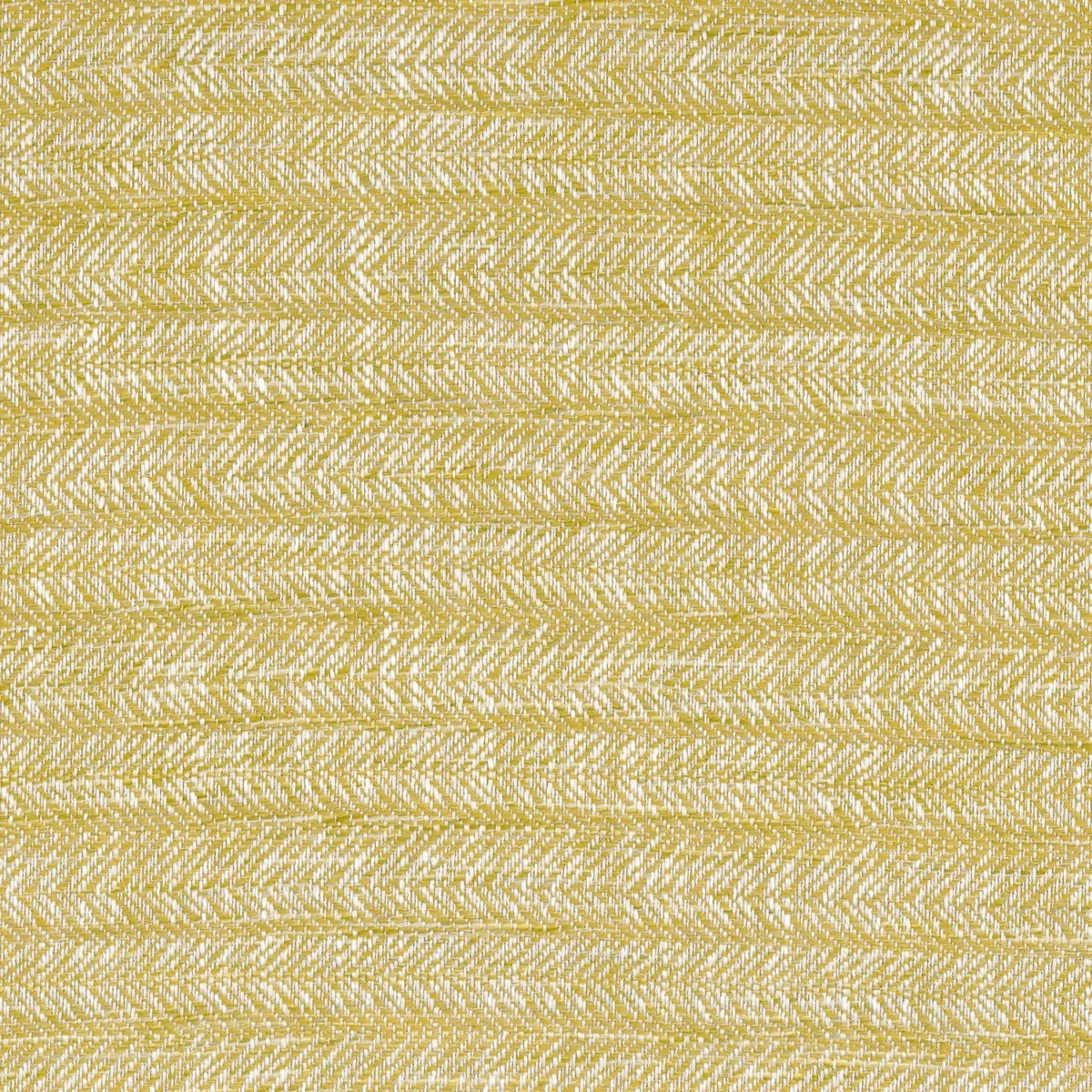 yellow plain woven fabric from Camengo