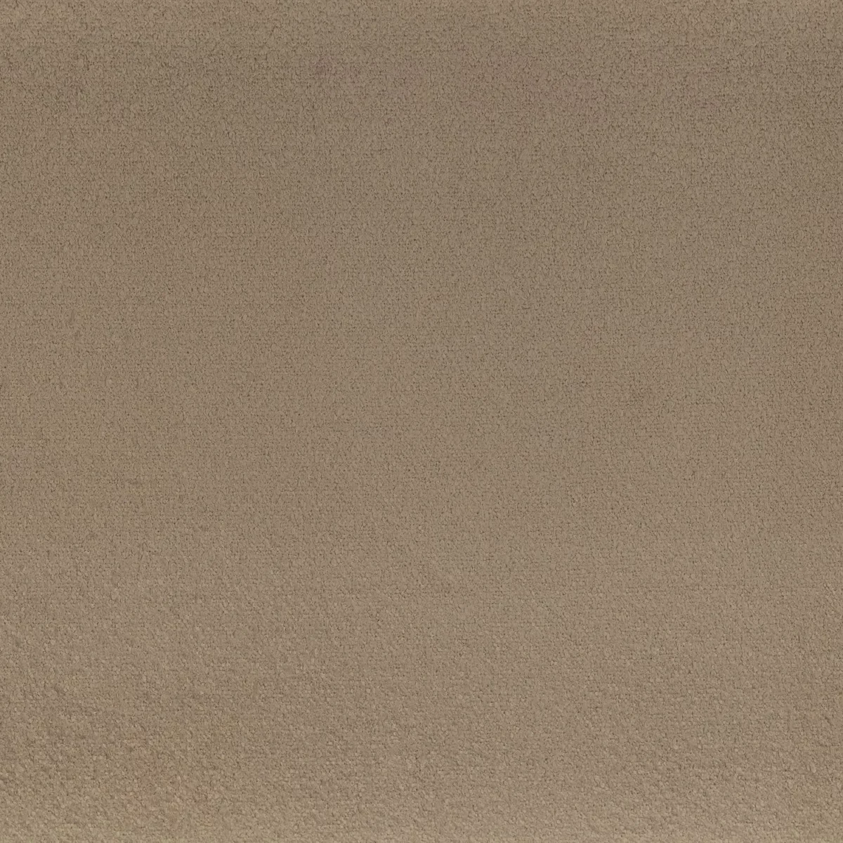 brown plain misc fabric from Camengo