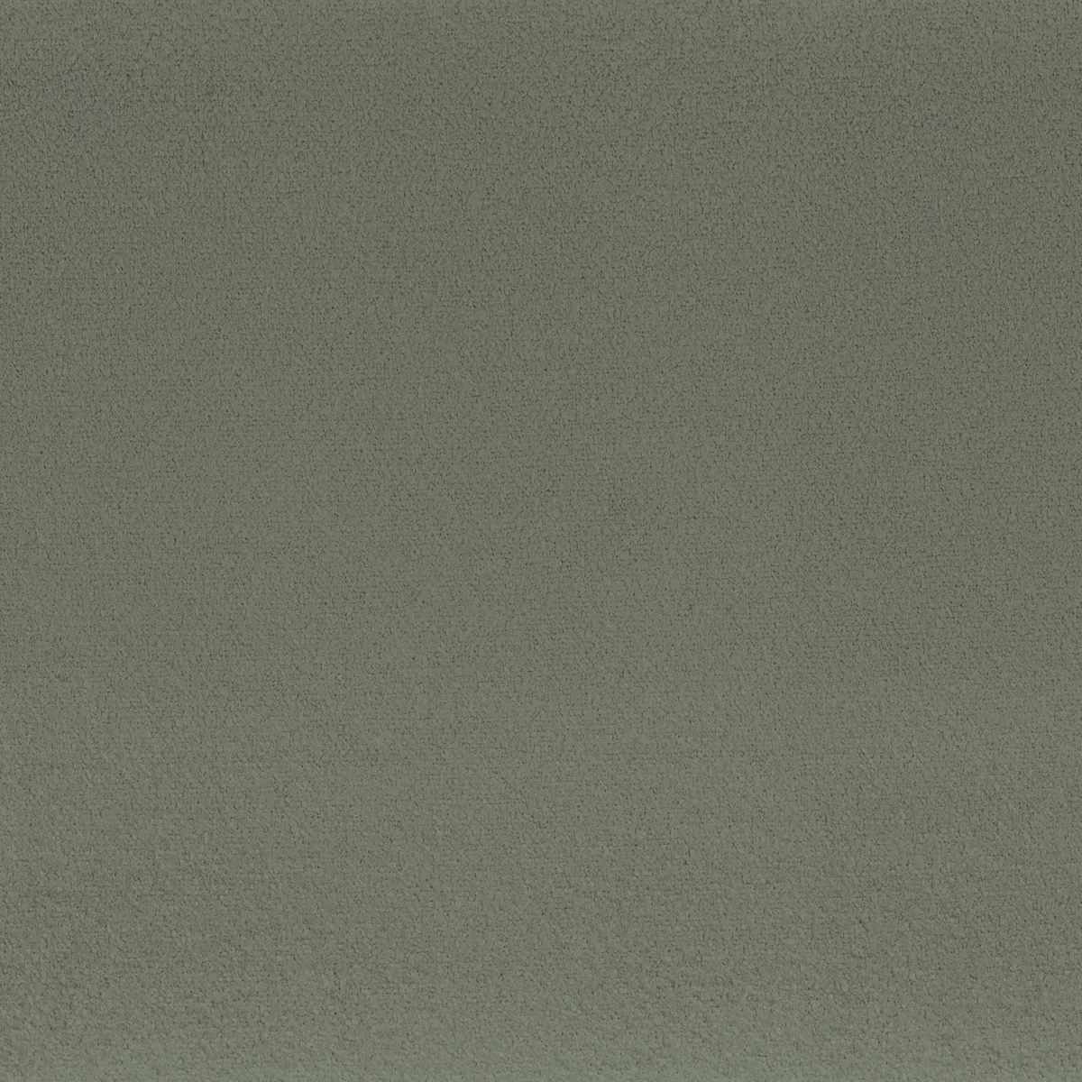 Boccoli Fabric - Fougere by green plain misc fabric from Camengo