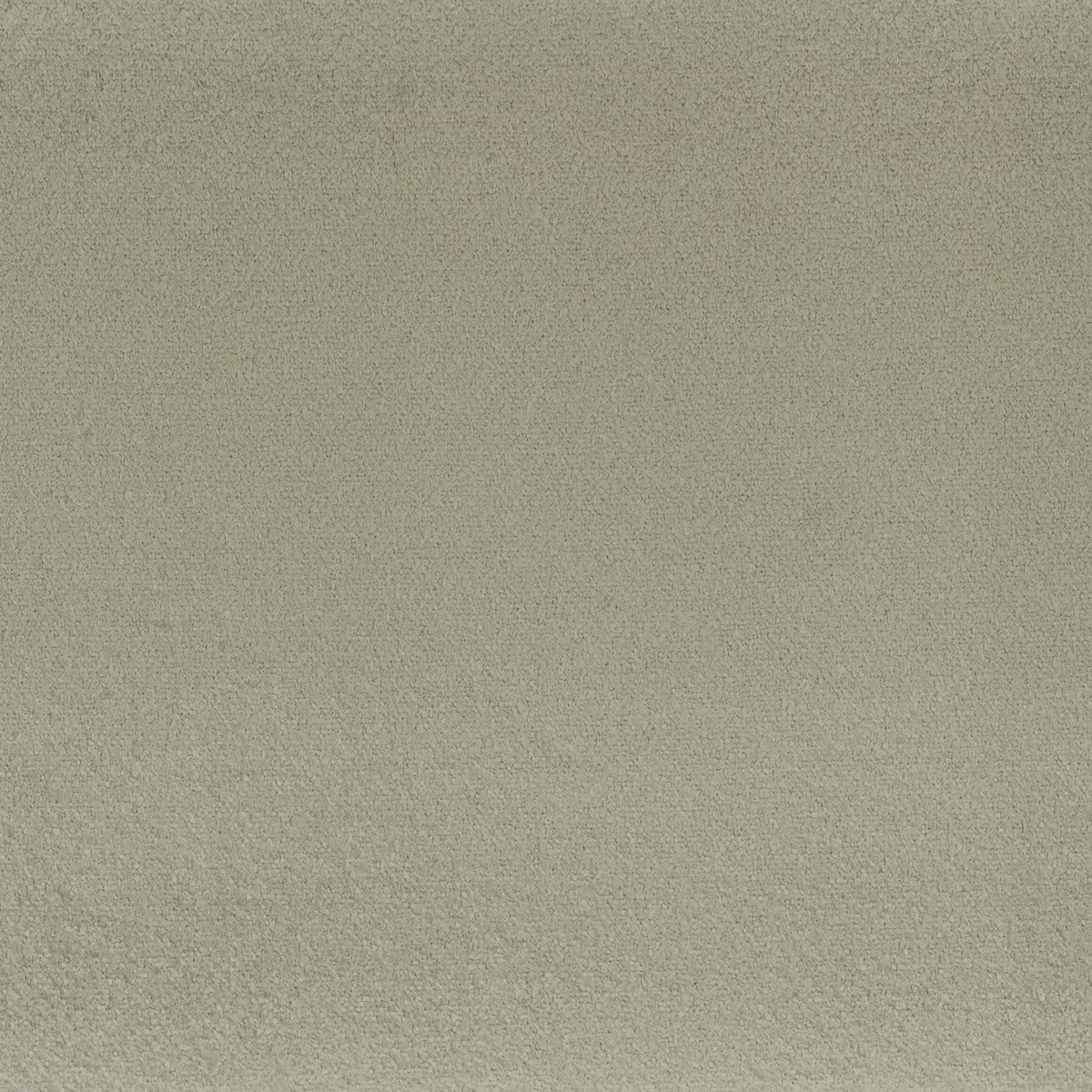 Boccoli Fabric - Vert de gris by green plain misc fabric from Camengo