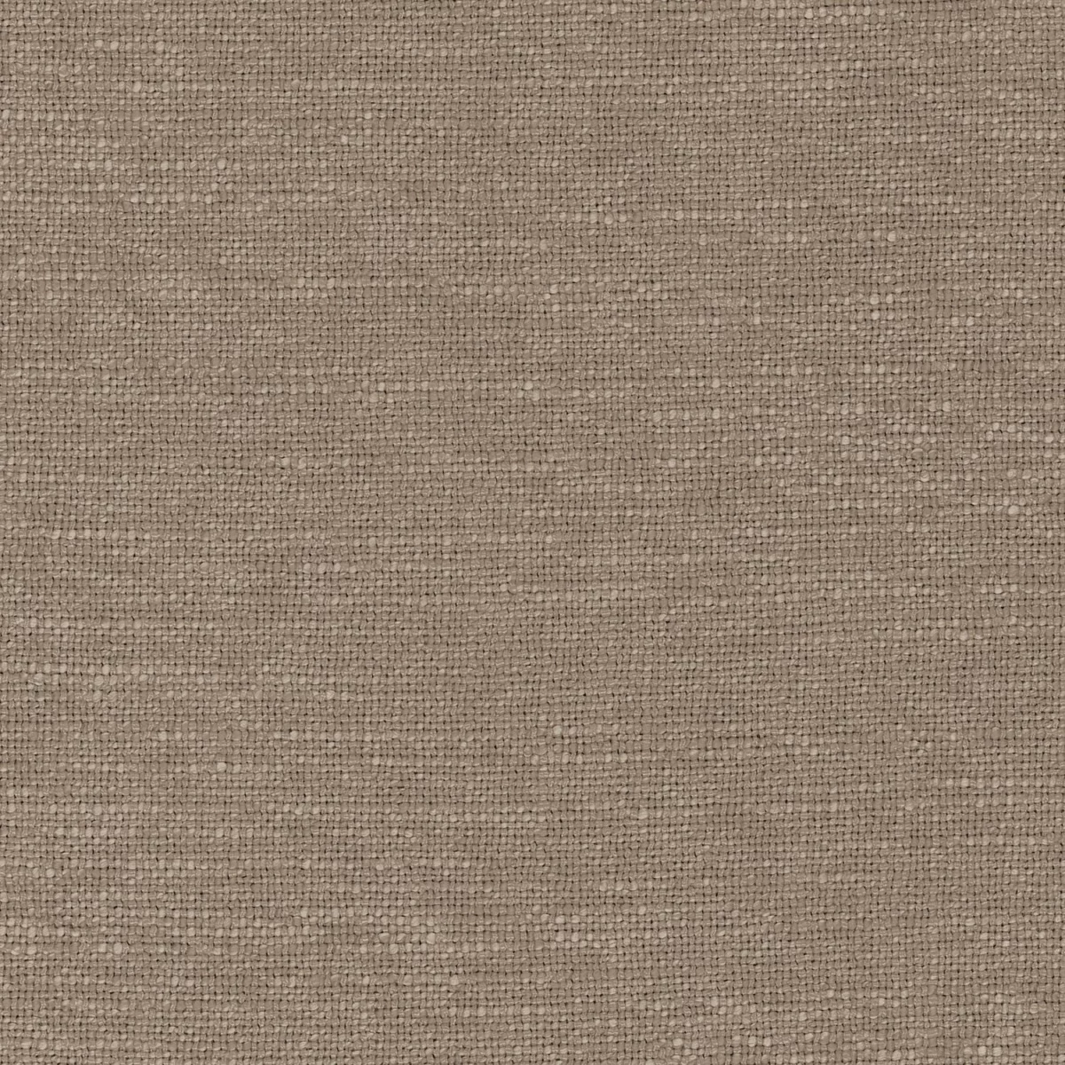 Libre Fabric - Chamois by brown plain woven fabric from Camengo
