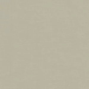 neutral plain woven fabric from Camengo